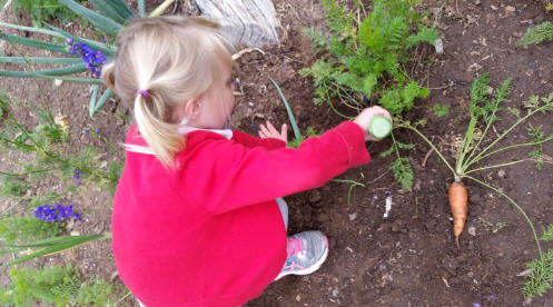 image of preschool child watering a garden plant